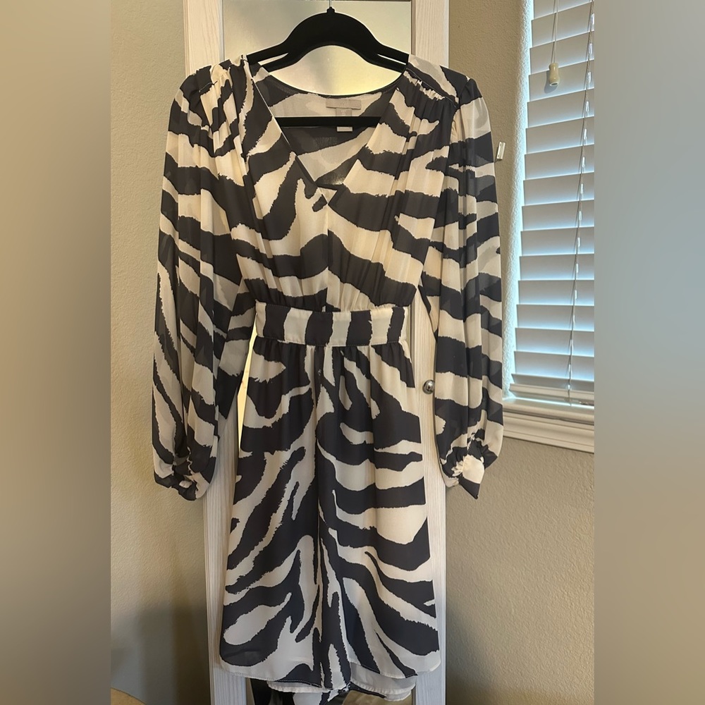 H&M Zebra Print Dress (S)